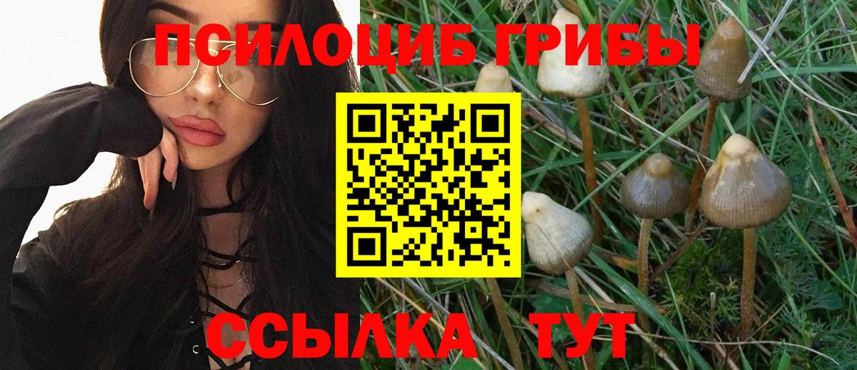 Псилоцибиновые грибы Magic Shrooms  Вход с VPN  Галлюциногенные грибы Magic Shrooms  Верхний Уфалей 